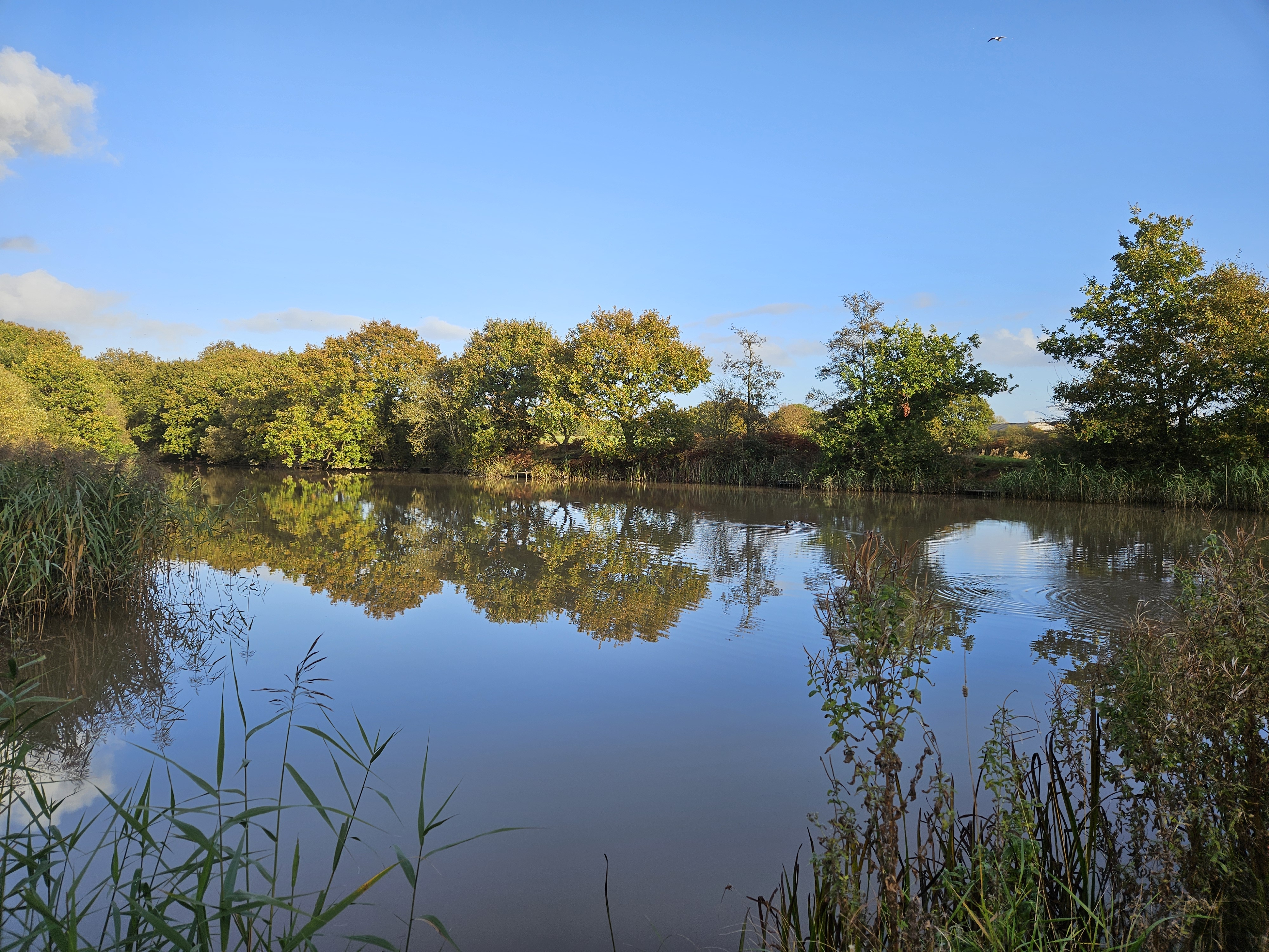 Gallery image for XX Charnwood Street, St Helens